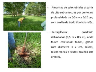 •   Amostras de solo: obtidas a partir
    de oito sub-amostras por ponto, na
    profundidade de 0-5 cm e 5-20 cm,
    com auxílio de trado tipo holandês.


•   Serrapilheira:           quadrado
    delimitador (0,5 m x 0,5 m), onde
    foram coletadas: folhas, galhos
    com diâmetro < 2 cm, cascas,
    restos florais e frutos oriunda das
    árvores.
 