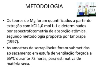 METODOLOGIA

• Os teores de Mg foram quantificados a partir de
  extração com KCl 1,0 mol L-1 e determinados
  por espectrofotometria de absorção atômica,
  segundo metodologia proposta por Embrapa
  (1997).
• As amostras de serrapilheira foram submetidas
  ao secamento em estufa de ventilação forçada a
  65ºC durante 72 horas, para estimativa de
  matéria seca.
 