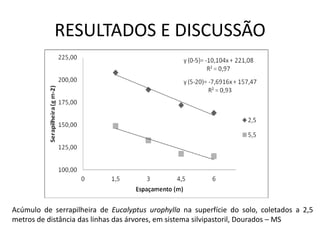 RESULTADOS E DISCUSSÃO




Acúmulo de serrapilheira de Eucalyptus urophylla na superfície do solo, coletados a 2,5
metros de distância das linhas das árvores, em sistema silvipastoril, Dourados – MS
 
