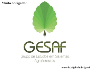 Muito obrigado!




                  www.do.ufgd.edu.br/gesaf
 