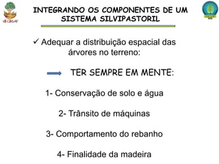INTEGRANDO OS COMPONENTES DE UM
      SISTEMA SILVIPASTORIL


 Adequar a distribuição espacial das
        árvores no terreno:

         TER SEMPRE EM MENTE:

   1- Conservação de solo e água

      2- Trânsito de máquinas

   3- Comportamento do rebanho

      4- Finalidade da madeira
 