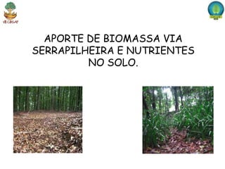 APORTE DE BIOMASSA VIA
SERRAPILHEIRA E NUTRIENTES
         NO SOLO.
 
