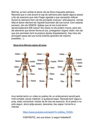Molt bé, ja hem arribat al darrer dia de feina d’aquesta setmana.
Recorda que si vols durant el cap de setmana pots repetir alguna sessió
o fer els exercicis que més t’hagin agradat o que necessitis millorar.
Durant la setmana hem vist els principals músculs i articulacions, només
falta el darrer element de l’aparell locomotor del cos humà. Com estaràs
pensant, són els OSSOS. Sabies que al cos humà tenim
aproximadament 206 ossos? Els òssos no els podem moure, però són
els elements que donen forma al cos, protegeixen òrgans vitals i són els
que ens permeten tenir la postura alçada (bipedestació). Aquí tens els
principals ossos del cos humà (intenta aprendre els màxims
possibles…):
Avui també tenim un vídeo on podreu fer un entrenament senzill però
molt complet, sense material i a qualsevol espai. Recorda tenir aigua a
prop, estar concentrat i tractar de fer tots els exercicis. Si et perds o no
pots seguir, atura (pitja pause), descansa, beu aigua i torna-ho a
intentar.
https://www.youtube.com/watch?v=uQ2ba_Y2XXk
FANTÀSTIC, ara una dutxa i a seguir treballant!!
 