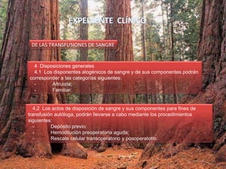 4 Disposiciones generales
4.1 Los disponentes alogénicos de sangre y de sus componentes podrán
corresponder a las categorías siguientes:
- Altruista;
- Familiar.
DE LAS TRANSFUSIONES DE SANGRE
4.2 Los actos de disposición de sangre y sus componentes para fines de
transfusión autóloga, podrán llevarse a cabo mediante los procedimientos
siguientes:
- Depósito previo;
- Hemodilución preoperatoria aguda;
- Rescate celular transoperatorio y posoperatorio.
 