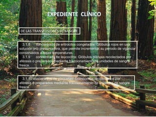 3.1.8 concentrado de eritrocitos congelados: Glóbulos rojos en una
solución crio preservadora, que permite incrementar su periodo de vigencia
conservados a bajas temperaturas.
3.1.9 concentrado de leucocitos: Glóbulos blancos recolectados por
aféresis o preparados mediante fraccionamiento de unidades de sangre
fresca.
DE LAS TRANSFUSIONES DE SANGRE
3.1.10 concentrado de plaquetas: Trombocitos recolectados por
aféresis o preparados mediante fraccionamiento de unidades de sangre
fresca.
 