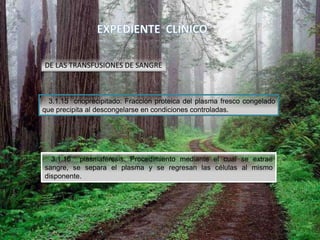 3.1.15 crioprecipitado: Fracción proteica del plasma fresco congelado
que precipita al descongelarse en condiciones controladas.
DE LAS TRANSFUSIONES DE SANGRE
3.1.16 plasmaféresis: Procedimiento mediante el cual se extrae
sangre, se separa el plasma y se regresan las células al mismo
disponente.
 