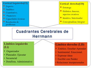 Cuadrantes Cerebrales de
Herrmann
Cortical Izquierdo(CI)
 Experto
 Analítico
 Cuantitativo.
 Financiero
 Capacidades técnicas
 Resolución de
problemas
Cortical derecho(CD)
 Estratega
 Holístico. Innovar,
aspectos creativos
 Intuitivo. Sintetizador
 Conceptualizar, Integrar
Límbico izquierdo
(Li)
• Organizador
• Planeador. Ejecutar
• Secuencial
• Detallista. Administrativo
Límbico derecho (LD)
• Estético. Enseñar-Aprender
• Sentimental. Emocional.
• Expresar ideas
• Escribir con fluidez
• Relaciones interpersonales
 