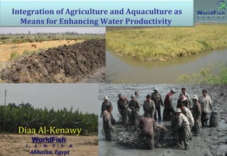 Integration of ‎Agriculture and Aquaculture ‎as Means for Enhancing Water Productivity  Diaa Al-Kenawy WorldFish   C  E  N  T  E  R Abbassa, Egypt 