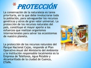 La conservación de la naturaleza es tarea
prioritaria, en la que debe involucrarse toda
la población, para salvaguardar los recursos
genéticos y otros de gran valor universal. La
protección de los recursos naturales del
país, constituye el mayor aporte a los
esfuerzos que realizan organismos
internacionales para salvar los ecosistemas
de nuestro planeta.
La protección de los recursos naturales del
Parque Nacional Cajas, responde al Plan
Operativo Anual del Ministerio del Ambiente
y la institución responsable localmente es la
Empresa de Teléfonos, Agua Potable y
Alcantarillado de la ciudad de Cuenca,
ETAPA.
*PROTECCIÓN
 