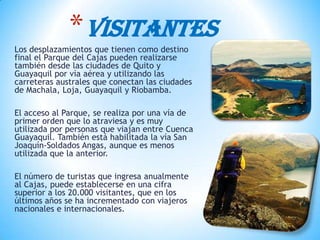 Los desplazamientos que tienen como destino
final el Parque del Cajas pueden realizarse
también desde las ciudades de Quito y
Guayaquil por vía aérea y utilizando las
carreteras australes que conectan las ciudades
de Machala, Loja, Guayaquil y Riobamba.
El acceso al Parque, se realiza por una vía de
primer orden que lo atraviesa y es muy
utilizada por personas que viajan entre Cuenca
Guayaquil. También está habilitada la vía San
Joaquín-Soldados Angas, aunque es menos
utilizada que la anterior.
El número de turistas que ingresa anualmente
al Cajas, puede establecerse en una cifra
superior a los 20.000 visitantes, que en los
últimos años se ha incrementado con viajeros
nacionales e internacionales.
*VISITANTES
 