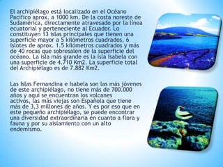 El archipiélago está localizado en el Océano
Pacífico aprox. a 1000 km. De la costa noreste de
Sudamérica, directamente atravesado por la línea
ecuatorial y perteneciente al Ecuador. Lo
constituyen 13 islas principales que tienen una
superficie mayor a 5 kilómetros cuadrados, 6
islotes de aprox. 1.5 kilómetros cuadrados y más
de 40 rocas que sobresalen de la superficie del
océano. La isla más grande es la isla Isabela con
una superficie de 4.710 Km2. La superficie total
del Archipiélago es de 7.882 Km2.
Las Islas Fernandina e Isabela son las más jóvenes
de este archipiélago, no tiene más de 700.000
años y aquí se encuentran los volcanes
activos, las más viejas son Española que tiene
más de 3,3 millones de años. Y es por eso que en
este pequeño archipiélago, se puede encontrar
una diversidad extraordinaria en cuanto a flora y
fauna y por su aislamiento con un alto
endemismo.
 