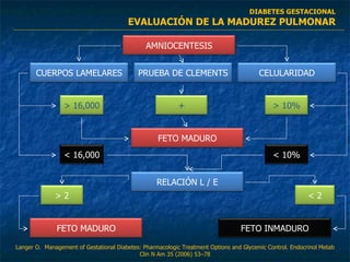 DIABETES GESTACIONAL EVALUACIÓN DE LA MADUREZ PULMONAR Langer O.  Management of Gestational Diabetes: Pharmacologic Treatment Options and Glycemic Control. Endocrinol Metab Clin N Am 35 (2006) 53–78 < 2 > 2 FETO INMADURO FETO MADURO RELACIÓN L / E FETO MADURO > 10% + > 16,000 AMNIOCENTESIS CUERPOS LAMELARES PRUEBA DE CLEMENTS CELULARIDAD < 16,000 < 10% 