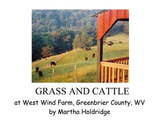 GRASS AND CATTLE
at West Wind Farm, Greenbrier County, WV
          by Martha Holdridge
 