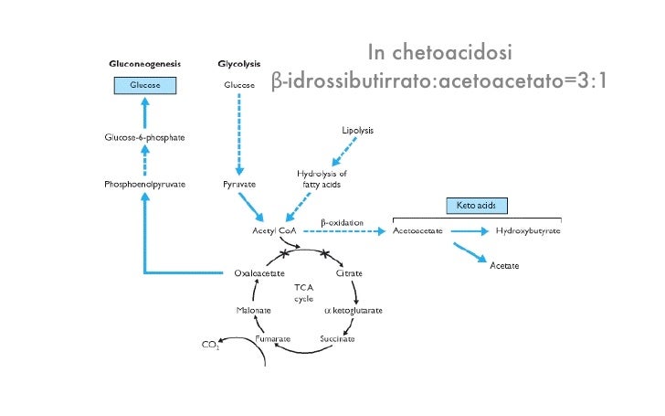Se ci può essere in nodi di gemorroidalny un pus