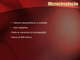 Microcirculação ⇧  factores vasoconstritores no endotélio ⇩  fluxo sanguíneo Perda do mecanismo de autoregulação Rotura da BHR interna 