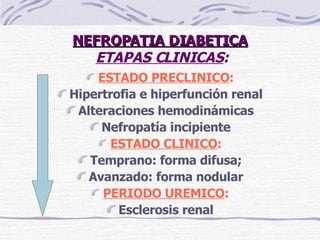 NEFROPATIA DIABETICA   ETAPAS CLINICAS : ESTADO PRECLINICO : Hipertrofia e hiperfunción renal Alteraciones hemodinámicas Nefropatía incipiente ESTADO CLINICO : Temprano: forma difusa; Avanzado: forma nodular PERIODO UREMICO : Esclerosis renal 