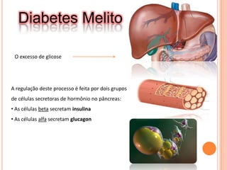  InsulinaDiabetes MelitoO excesso de glicoseA regulação deste processo é feita por dois grupos de células secretoras de hormônio no pâncreas: As células beta secretam insulina