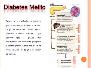  As células alfa secretam glucagonDiabetes MelitoDepois de cada refeição, os níveis de glicose no sangue sobem, o excesso de glicose estimula as células beta no pâncreas a liberar insulina, o que permite que a glicose seja armazenada sob forma de glicogênio e ácidos graxos. Como resultado os níveis sanguíneos de glicose voltam ao normal.