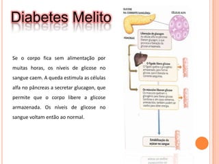 Diabetes MelitoSe o corpo fica sem alimentação por muitas horas, os níveis de glicose no sangue caem. A queda estimula as células alfa no pâncreas a secretar glucagon, que permite que o corpo libere a glicose armazenada. Os níveis de glicose no sangue voltam então ao normal.
