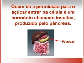 Quem dá a permissão para o
açúcar entrar na célula é um
hormônio chamado insulina,
 produzido pelo pâncreas.


                      Pâncreas
 