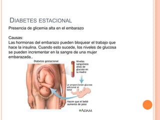 DIABETES ESTACIONAL
Presencia de glicemia alta en el embarazo

Causas:
Las hormonas del embarazo pueden bloquear el trabajo que
hace la insulina. Cuando esto sucede, los niveles de glucosa
se pueden incrementar en la sangre de una mujer
embarazada..
 