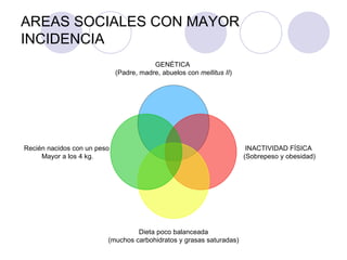 AREAS SOCIALES CON MAYOR
INCIDENCIA
                                         GENÉTICA
                             (Padre, madre, abuelos con mellitus II)




Recién nacidos con un peso                                              INACTIVIDAD FÍSICA
     Mayor a los 4 kg.                                                 (Sobrepeso y obesidad)




                                  Dieta poco balanceada
                         (muchos carbohidratos y grasas saturadas)
 
