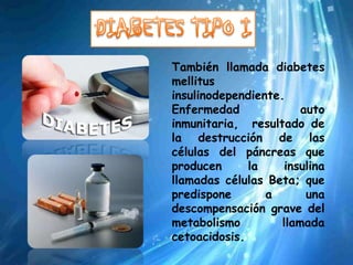 También llamada diabetes
mellitus
insulinodependiente.
Enfermedad              auto
inmunitaria, resultado de
la destrucción de las
células del páncreas que
producen      la     insulina
llamadas células Beta; que
predispone       a       una
descompensación grave del
metabolismo         llamada
cetoacidosis.
 