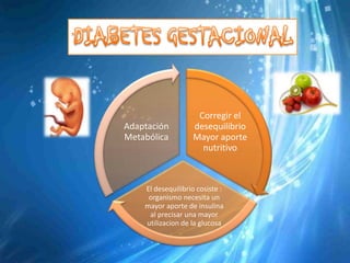 Corregir el
Adaptación         desequilibrio
Metabólica         Mayor aporte
                     nutritivo



    El desequilibrio cosiste :
     organismo necesita un
    mayor aporte de insulina
     al precisar una mayor
    utilizacion de la glucosa
 