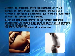 Control de glucemia entre las semanas 24 y 28
porque en esta etapa el organismo produce una
hormona lactógeno placentaria que tiende a aumentar
el nivel de azúcar en la sangre.
Si en un embarazo previo se ha tenido diabetes
gestacional, el estudio se hará a partir de la primera
En caso contrario, el estudio suele realizarse entre
visita al ginecólogo.
las 24 y las 28 semanas de embarazo
 