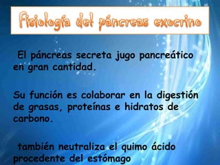El páncreas secreta jugo pancreático
en gran cantidad.

Su función es colaborar en la digestión
de grasas, proteínas e hidratos de
carbono.

 también neutraliza el quimo ácido
procedente del estómago
 