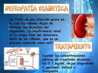 Se trata de una afección grave en
la cual los riñones dejan de
eliminar los desechos del
organismo. La insuficiencia renal
es la etapa final del deterioro
lento de los riñones, que es un
proceso conocido como nefropatía.


                   Cuando las concentraciones
                   séricas de creatinina alcanzan
                   los 0,3 mg/ml, dejan disponibles
                   2 opciones: diálisis o
                   trasplante.
 