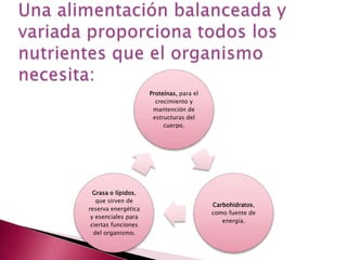Proteínas, para el
                       crecimiento y
                      mantención de
                      estructuras del
                          cuerpo.




  Grasa o lípidos,
   que sirven de
                                          Carbohidratos,
reserva energética
                                          como fuente de
 y esenciales para
                                             energía.
 ciertas funciones
  del organismo.
 