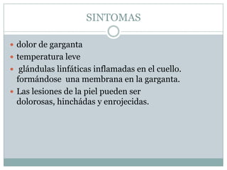 SINTOMAS

 dolor de garganta
 temperatura leve
 glándulas linfáticas inflamadas en el cuello.
  formándose una membrana en la garganta.
 Las lesiones de la piel pueden ser
  dolorosas, hinchádas y enrojecidas.
 