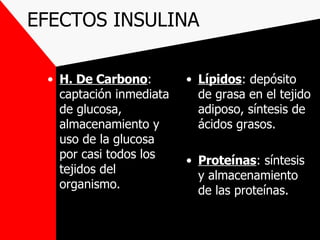 EFECTOS INSULINA H. De Carbono : captación inmediata de glucosa, almacenamiento y uso de la glucosa por casi todos los tejidos del organismo. Lípidos : depósito de grasa en el tejido adiposo, síntesis de ácidos grasos. Proteínas : síntesis y almacenamiento de las proteínas. 