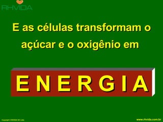 E as células transformam o açúcar e o oxigênio em  E N E R G I A 