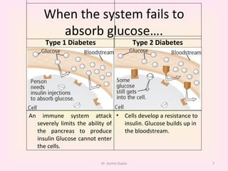 When the system fails to absorb glucose…. Type 1 Diabetes Type 2 Diabetes Dr. Sunita Gupta An immune system attack severely limits the ability of the pancreas to produce insulin Glucose cannot enter the cells.  Cells develop a resistance to insulin. Glucose builds up in the bloodstream.  