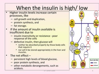 When the insulin is high/ low Higher insulin levels increase certain processes, like cell growth and duplication,  protein synthesis, and  fat storage. If the amount of insulin available is insufficient due to  insulin insensitivity or resistance - poor response of the cells defective insulin, then glucose will  neither be absorbed properly by those body cells that require it  nor will it be stored appropriately in the liver and muscles. The net effect –  persistent high levels of blood glucose,  poor protein synthesis, and  other metabolic derangements, such as acidosis. Dr. Sunita Gupta 