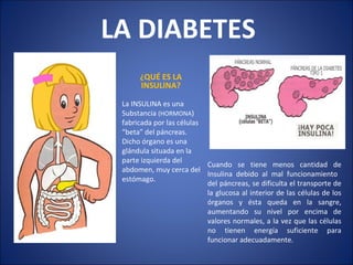     LA DIABETES ¿QUÉ ES LA INSULINA? La INSULINA es una Substancia  (HORMONA ) fabricada por las células “beta” del páncreas. Dicho órgano es una glándula situada en la parte izquierda del abdomen, muy cerca del estómago. Cuando se tiene menos cantidad de Insulina debido al mal funcionamiento  del páncreas, se dificulta el transporte de la glucosa al interior de las células de los órganos y ésta queda en la sangre, aumentando su nivel por encima de valores normales, a la vez que las células no tienen energía suficiente para funcionar adecuadamente. 