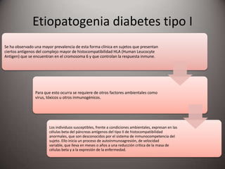 Etiopatogenia diabetes tipo I
Se ha observado una mayor prevalencia de esta forma clínica en sujetos que presentan
ciertos antígenos del complejo mayor de histocompatibilidad HLA (Human Leucocyte
Antigen) que se encuentran en el cromosoma 6 y que controlan la respuesta inmune.
Para que esto ocurra se requiere de otros factores ambientales como
virus, tóxicos u otros inmunogénicos.
Los individuos susceptibles, frente a condiciones ambientales, expresan en las
células beta del páncreas antígenos del tipo II de histocompatibilidad
anormales, que son desconocidos por el sistema de inmunocompetencia del
sujeto. Ello inicia un proceso de autoinmunoagresión, de velocidad
variable, que lleva en meses o años a una reducción crítica de la masa de
células beta y a la expresión de la enfermedad.
 