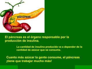 Copyright © RHVIDA S/C Ltda. www.rhvida.com.brCopyright © RHVIDA S/C Ltda. www.rhvida.com.br
El páncreas es el órgano responsable por la
producción de insulina.
La cantidad de insulina producida va a depender de la
cantidad de azúcar que se consume.
Cuanto más azúcar la gente consume, el páncreas
¡tiene que trabajar mucho más!
páncreaspáncreas
intestinointestino
 