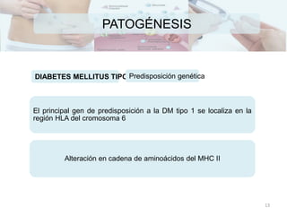 PATOGÉNESIS
El principal gen de predisposición a la DM tipo 1 se localiza en la
región HLA del cromosoma 6
Alteración en cadena de aminoácidos del MHC II
DIABETES MELLITUS TIPO IPredisposición genética
13
 