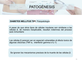 PATOGÉNESIS
A pesar de que otros tipos de células insulares son similares a las
células β, de manera inexplicable, resultan indemnes del proceso
auto inmunitario
Las células β parecen ser en especial vulnerables al efecto toxico de
algunas citocinas (TNF-α, interferón gamma e IL-1)
Se ignoran los mecanismos precisos de la muerte de las células β.
DIABETES MELLITUS TIPO IFisiopatología
14
 
