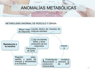 Mayor masa
de adipocitos
[ ] Ag circulantes
libres y otros
productos de los
adipocitos
Regulan: peso,
apetito y gasto de
energía y sensibilidad
a la insulina
Resistencia a
la insulina
Liquido dentro de miocitos de
musculo estriado
Insulin
a
Fosforilación oxidativa
mitocondrial y aminora la
producción de ATP
mitocondrial
Peróxidos
de lípido
ANOMALÍAS METABÓLICAS
METABOLISMO ANORMAL DE MÚSCULO Y GRASA
22
 