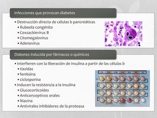 •Destrucción directa de células b pancreáticas
•Rubeola congénita
•Coxsackievirus B
•Citomegalovirus
•Adenovirus
Infecciones que provocan diabetes
•Interfieren con la liberación de insulina a partir de las células b
•tiazidas
•fenitoina
•ciclosporina
•Inducen la resistencia a la insulina
•Glucocorticoides
•Anticonceptivos orales
•Niacina
•Antivirales inhibidores de la proteasa
Diabetes inducida por fármacos o químicos
 