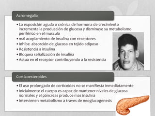 •La exposición aguda o crónica de hormona de crecimiento
incrementa la producción de glucosa y disminuye su metabolismo
periférico en el musculo
•mal acoplamiento de insulina con receptores
•Inhibe absorción de glucosa en tejido adiposo
•Resistencia a insulina
•Bloquea señalización de insulina
•Actua en el receptor contribuyendo a la resistencia
Acromegalia
•El uso prolongado de corticoides no se manifiesta inmediatamente
•Inicialmente el cuerpo es capaz de mantener niveles de glucosa
normales y el páncreas produce mas insulina
•Intervienen metabolismo a traves de neoglucogenesis
Corticoesteroides
 