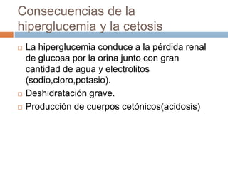 Consecuencias de la
hiperglucemia y la cetosis
 La hiperglucemia conduce a la pérdida renal
de glucosa por la orina junto con gran
cantidad de agua y electrolitos
(sodio,cloro,potasio).
 Deshidratación grave.
 Producción de cuerpos cetónicos(acidosis)
 