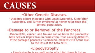 CAUSES
▪Other Genetic Diseases.
▪ Diabetes occurs in people with Down syndrome, Klinefelter
syndrome, and Turner syndrome at higher rates than the
general population.
▪Damage to or Removal of the Pancreas.
▪ Pancreatitis, cancer, and trauma can all harm the pancreatic
beta cells or impair insulin production, thus causing diabetes.
If the damaged pancreas is removed, diabetes will occur due
to the loss of the beta cells.
▪Lipodystrophy
 