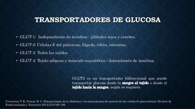 Diabetes mellitus Diabetes mellitus