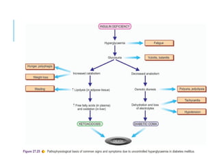 Pathophysiology of Diabetes | PPT