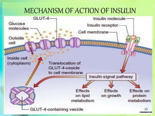 MECHANISM OF ACTION OF INSULIN
 